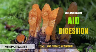 Mushrooms: Superfood for Your Gut Health?