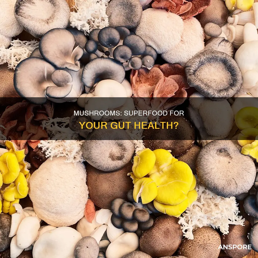 does mushrooms aid digestion