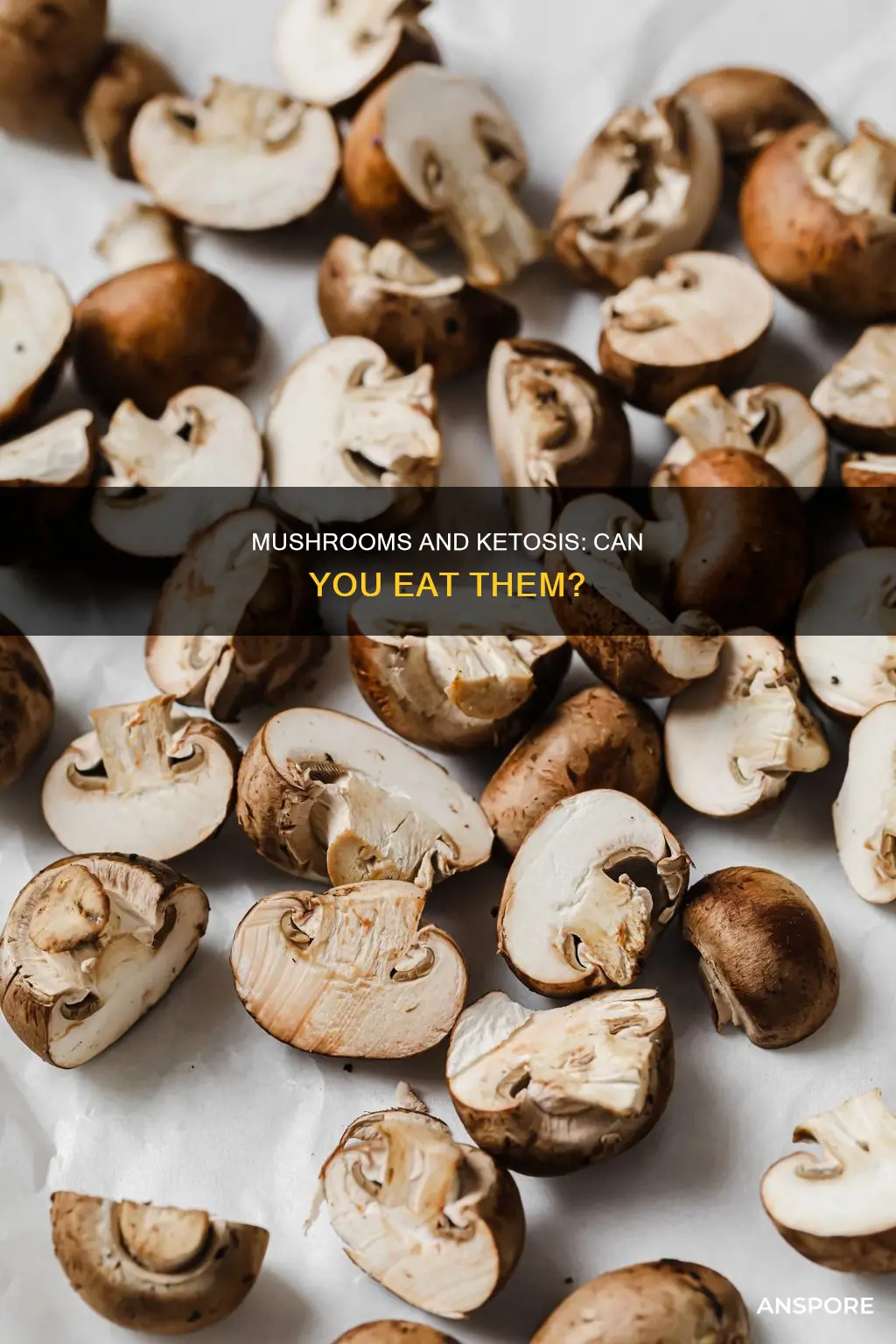 does mushrooms break ketosis