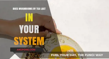 Mushroom Tea: How Long Does It Stay in Your System?