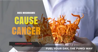 Mushrooms: Cancer-Causing or Cancer-Fighting?