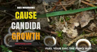 Mushrooms and Candida: The Growth Connection