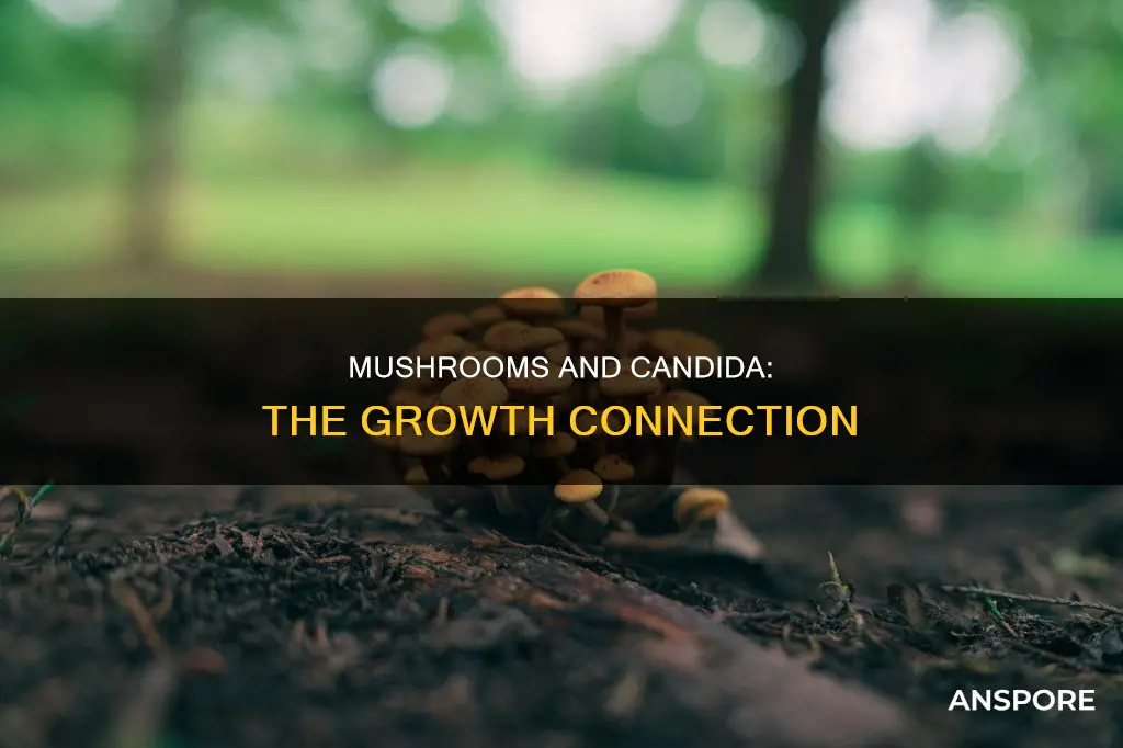 does mushrooms cause candida growth