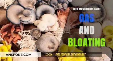 Mushrooms: Gas and Bloating Culprits?