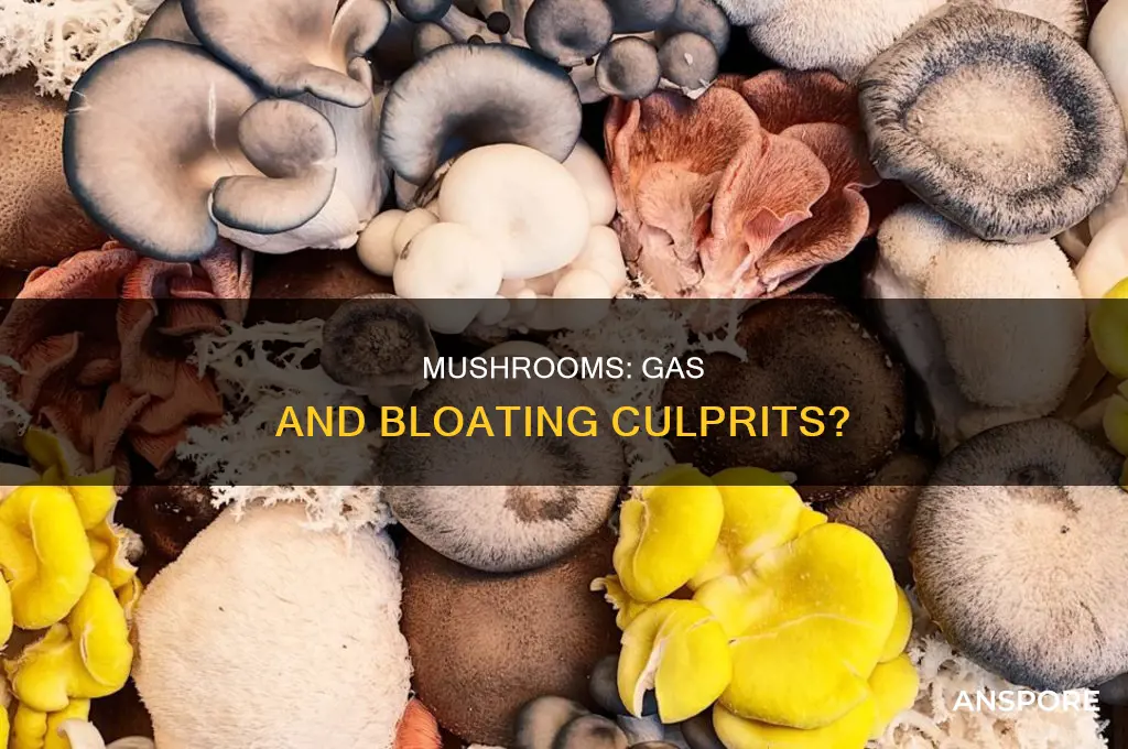does mushrooms cause gas and bloating