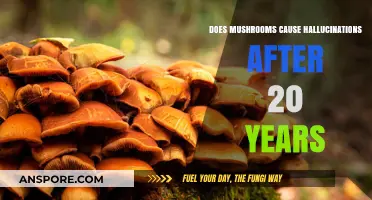 Mushrooms: Hallucinations After 20 Years?