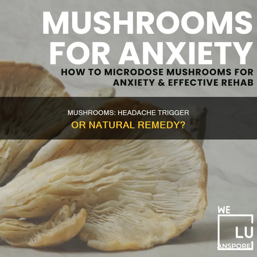 does mushrooms cause headaches