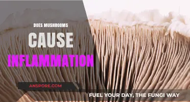 Mushrooms: Friend or Foe in Fighting Inflammation?