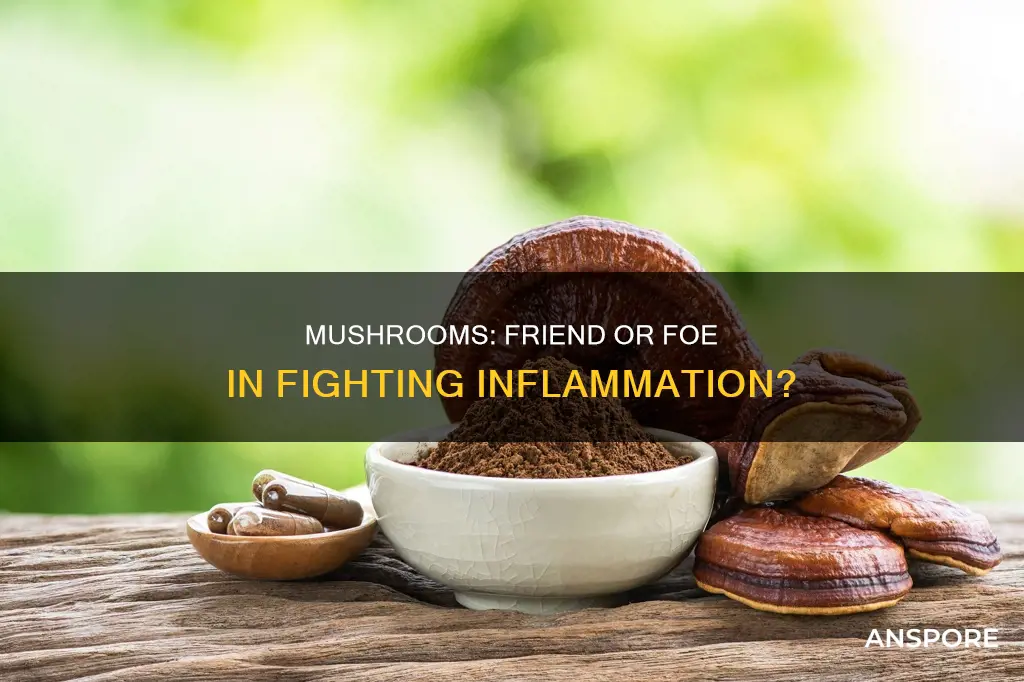 does mushrooms cause inflammation