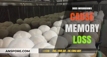 Mushrooms and Memory Loss: What's the Link?