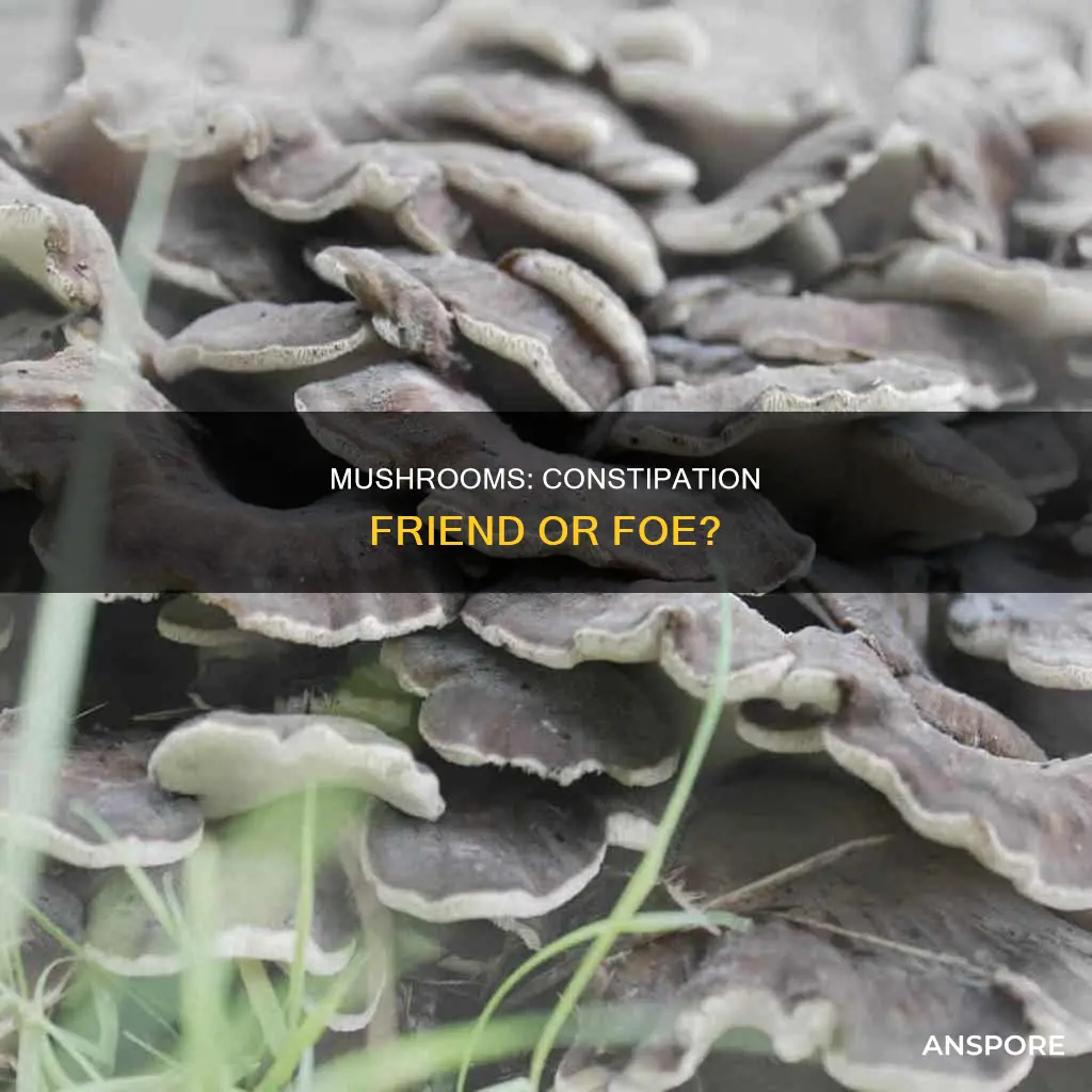 does mushrooms constipate you