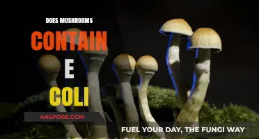 Mushrooms and E. coli: A Dangerous Mix?