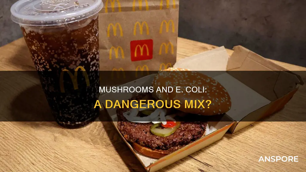 does mushrooms contain e coli