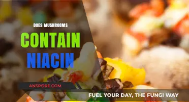 Mushrooms: A Rich Source of Niacin?