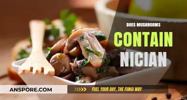 Mushrooms: A Source of Nician?