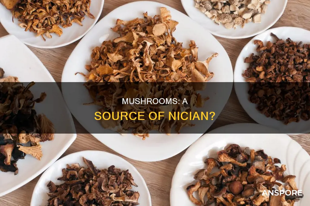 does mushrooms contain nician