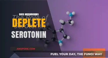 Mushrooms and Serotonin: What's the Connection?