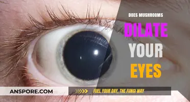 Mushroom Consumption: Eye Pupil Dilation and You