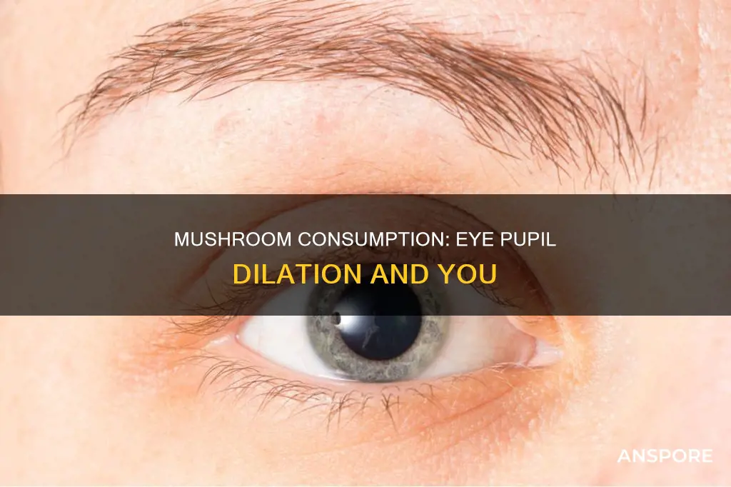 does mushrooms dilate your eyes