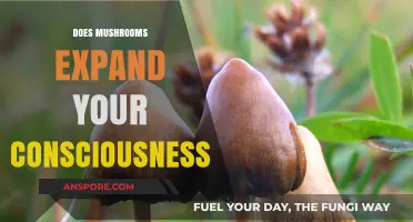 Exploring Consciousness Expansion with Magic Mushrooms
