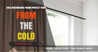 Mushroom Magic: Can They Protect Paws From Cold?