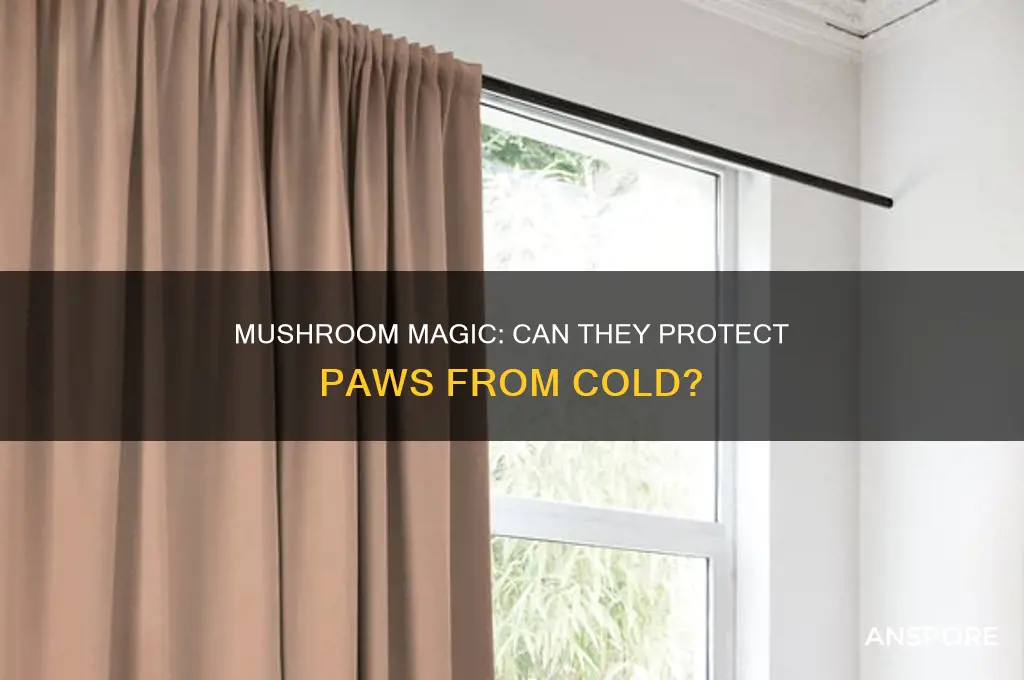 does mushrooms friend protect paws from the cold