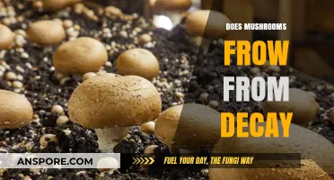 How Mushrooms Grow from Decay: Nature's Magic