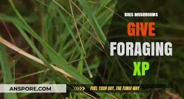 Foraging XP: Do Mushrooms Provide Any?