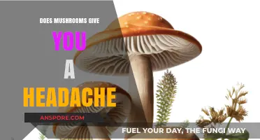 Can Mushrooms Cause Headaches?