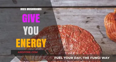 Mushrooms: Natural Energy Boosters or Myth?