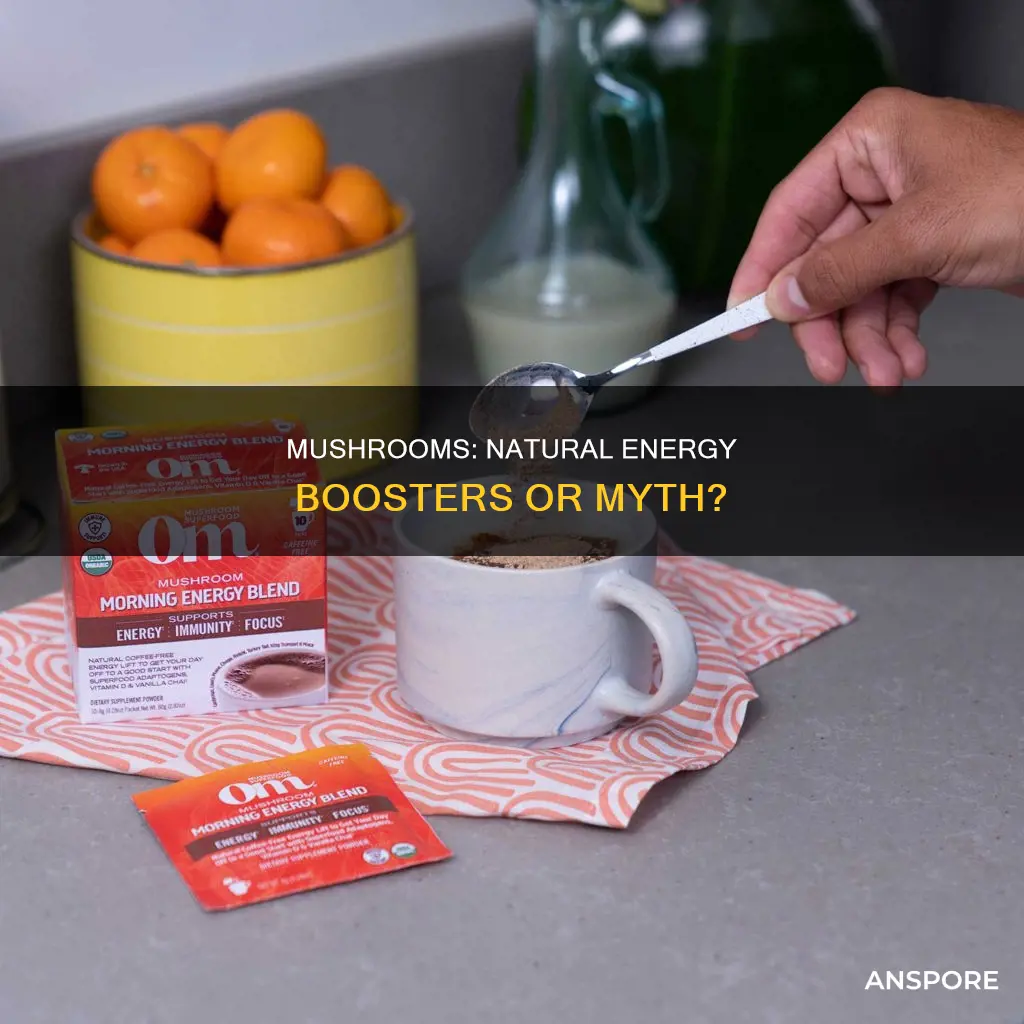 does mushrooms give you energy