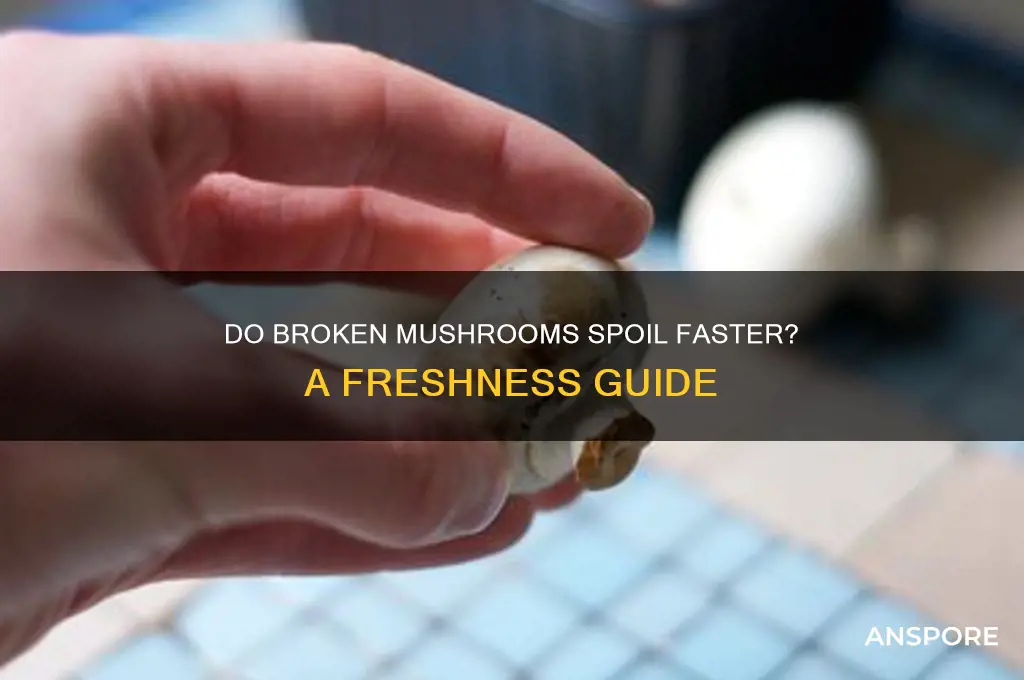does mushrooms go bad if broken in half