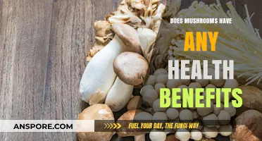 Mushrooms: Superfood or Superstition?