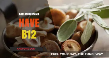 Mushrooms and B12: What's the Deal?