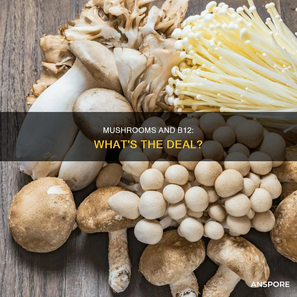 does mushrooms have b12
