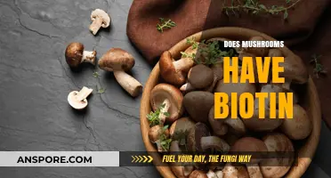 Mushrooms: A Rich Source of Biotin