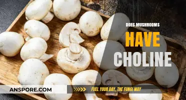 Mushrooms: Rich Source of Choline?