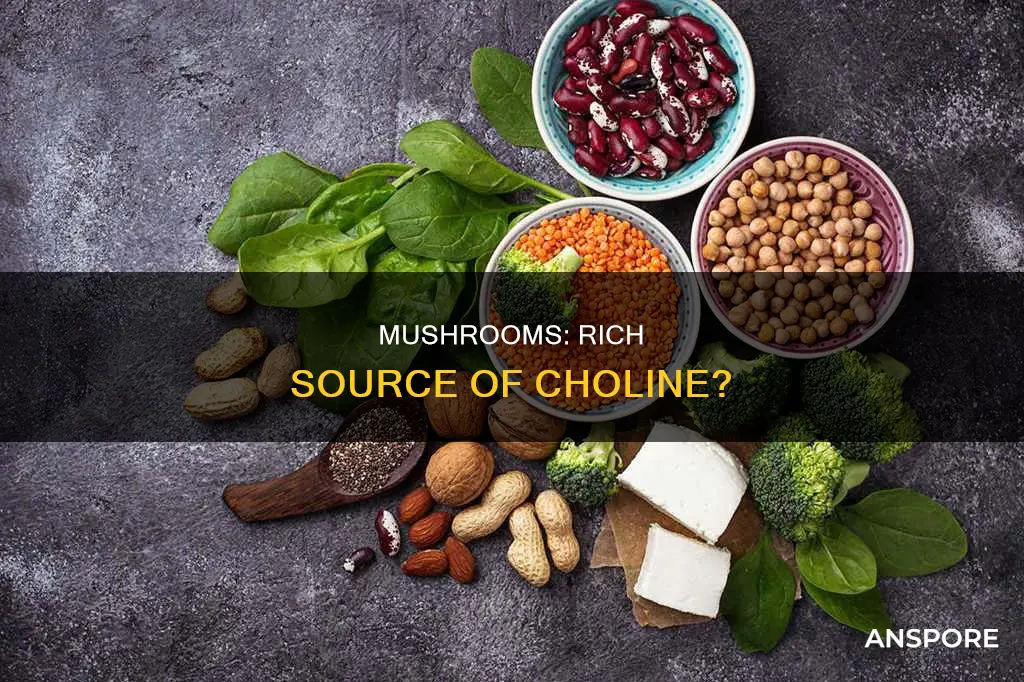 does mushrooms have choline