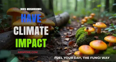 Mushrooms: Carbon-Capturing Superheroes or Climate Villains?