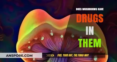 Magic Mushrooms: Natural Drugs or Not?