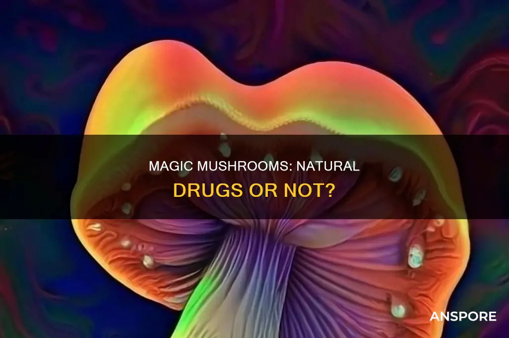 does mushrooms have drugs in them