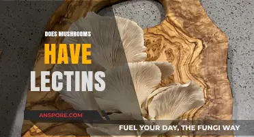 Lectins in Mushrooms: What You Need to Know