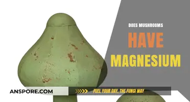 Mushrooms: A Rich Source of Magnesium?