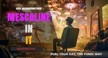 Mushrooms and Mescaline: What's the Connection?