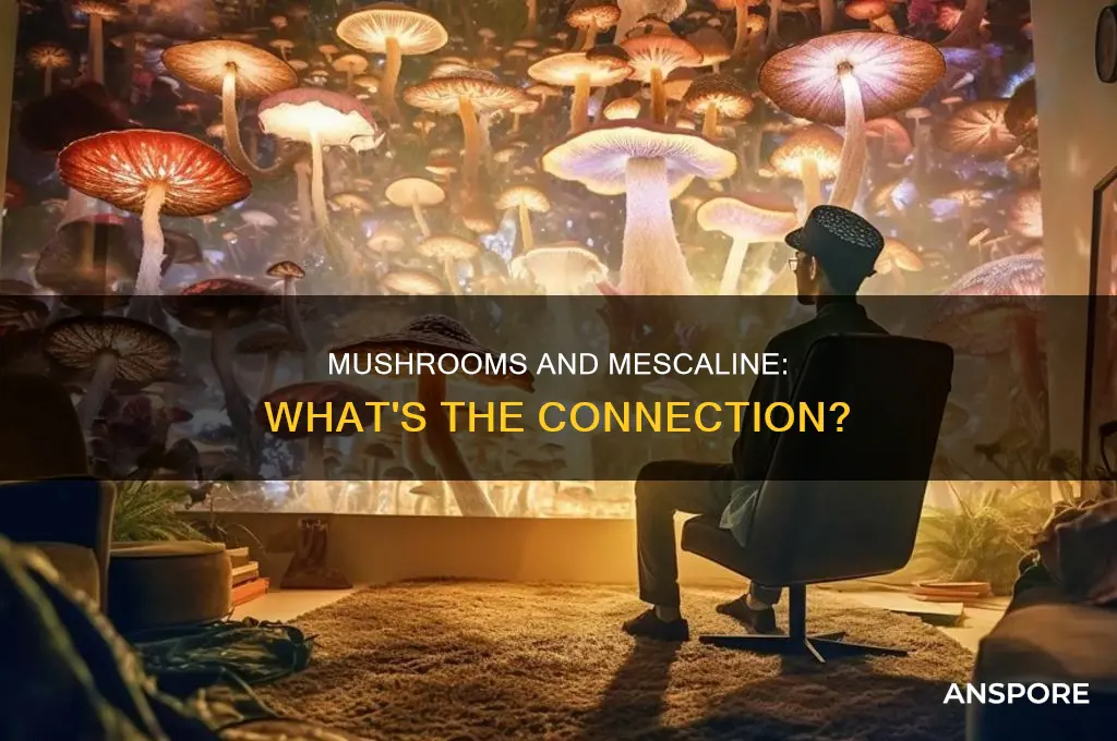 does mushrooms have mescaline in it