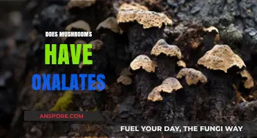 Mushrooms and Oxalates: What's the Connection?