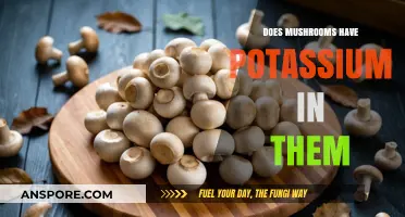 Mushrooms: A Rich Source of Potassium?