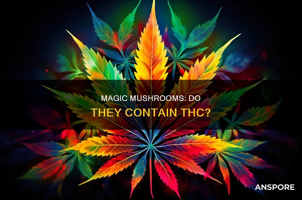 does mushrooms have thc in them