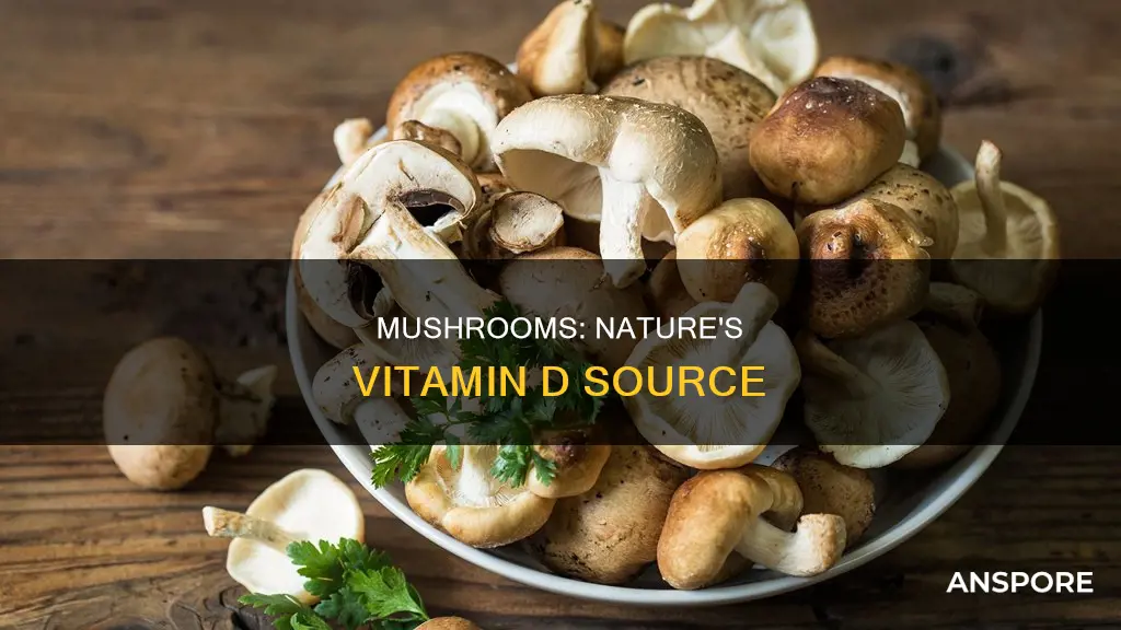 does mushrooms have vit d