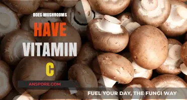 Mushrooms: A Source of Vitamin C?